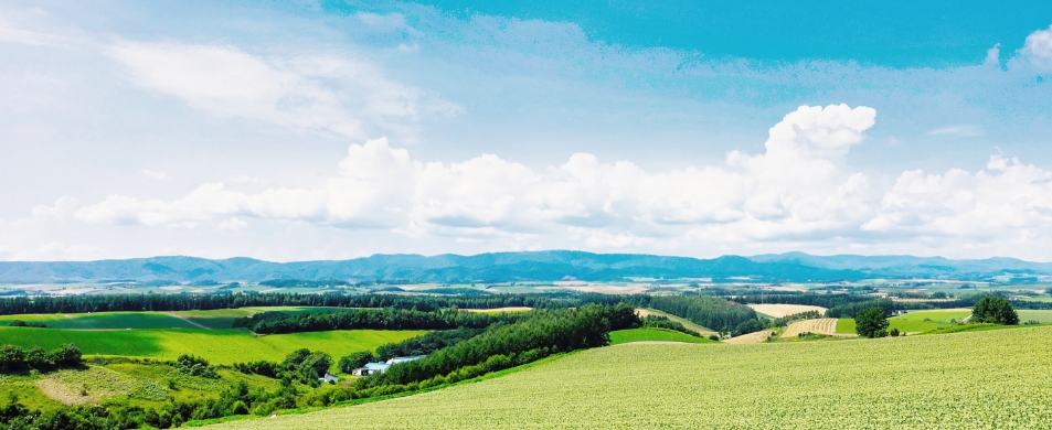 オリジナル商品の開発